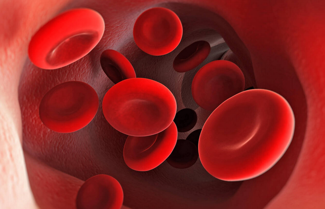 Bloodborne Pathogens Renewal